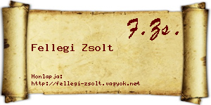 Fellegi Zsolt névjegykártya